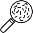 Two probiotic strains